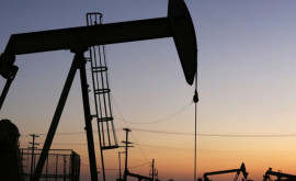 Цена на нефть начала значительно расти 