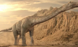 O nouă specie de titanosauri uriași descoperită în Argentina