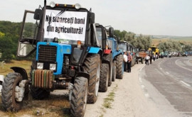 Фермеры выйдут на акции протеста несмотря на приглашение Речана на переговоры 