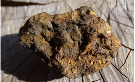 Осколки упавшего во Франции астероида выставлены в музее