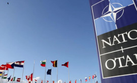 NATO anunță despre cele mai ample antrenamente aeriene din istoria organizației