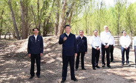 Си Цзиньпин призвал продвигать зеленое развитие во Внутренней Монголии