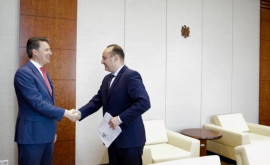 Батрынча встретился с послом Королевства Нидерландов в Молдове