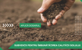 Аграрии получат субсидии на инвестпроекты для улучшения качества почвы