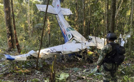 Четыре ребенка выжили в джунглях после авиакатастрофы в Колумбии