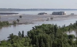 Экспертэколог Разрушение Новокаховской плотины влияет на Черное море