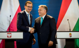 Венгрия и Польша создают коалицию против миграционной политики Евросоюза