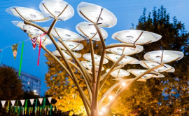 В Вэленах установлено солнечное дерево вырабатывающее зеленую энергию