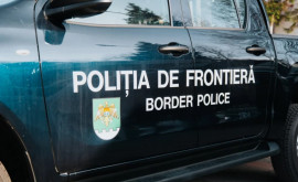 Проведены обыски в домах подозреваемых в организации нелегальной миграции