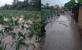Сильный дождь привел к настоящему бедствию на севере страны