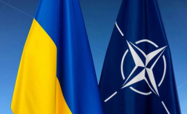 Promisiunea de a accepta Ucraina în NATO după încheierea conflictului militar cu Rusia este o provocare Opinie