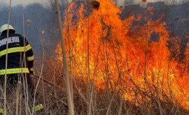 Спасатели предупреждают о риске возгорания сухой растительности