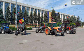 Фермеры Молдовы обеспокоены обвалом цен 