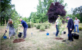 Председатель парламента и его французская коллега посадили деревья в Ботаническом саду