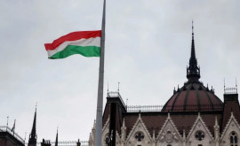 В Венгрии заявили о поддержке вступления Швеции в НАТО