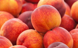 Почему в Молдове не дешевеют персики 