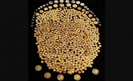 Удивительная удача мужчина нашел клад золотых монет на миллионы долларов