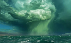 Oamenii de știință au stabilit un posibil factor care duce la creșterea numărului de furtun