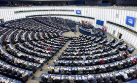 Европейский парламент призывает к созданию эффективных систем мониторинга и наблюдения