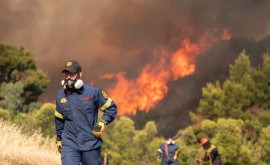 Крупный лесной пожар вспыхнул южнее Афин население эвакуируют