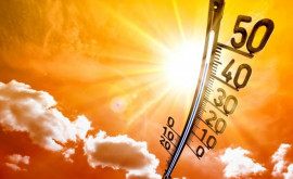 Рекомендации для граждан по снижению рисков для здоровья в период аномальной жары