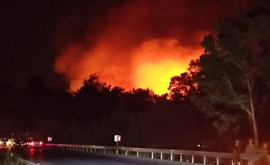 Imagini apocaliptice în Turcia Incendii forestiere au izbucnit în Kemer