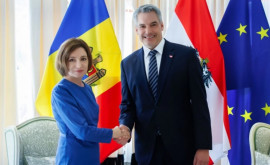Майя Санду встретилась с федеральным канцлером Австрии