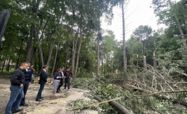 Министр окружающей среды посетила Единецкий район пострадавший от урагана 
