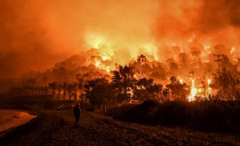 Министр Большинство лесных пожаров в Греции произошли изза людей