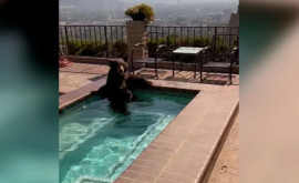 Жарко всем В Калифорнии медведь решил охладиться в джакузи