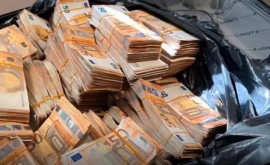 Un cîine al poliției a adulmecat peste un milion de euro în bagajele unei femei