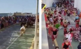Panică la un festival în Spania Nouă tauri sau năpustit în mulțime