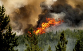 Emisii record de dioxid de carbon în Canada în urma incendiilor de pădure