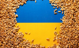 Ungaria Criza cerealelor din Ucraina subminează piețele UE și comerțul mondial