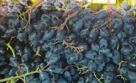 В Молдове начали снижаться цены на виноград