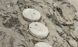 На берегу реки Прут обнаружили три противотанковые мины