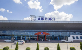 Aeroportul Internațional Chișinău invadat de insecte Instituția vine cu precizări