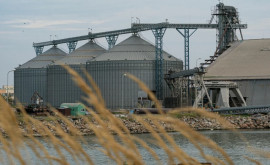 La Marea Baltică ar putea fi construite terminale pentru cereale ucrainene 