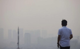 Граждане Индонезии судятся с властями изза грязного воздуха