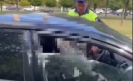 Un polițist pe punctul de a fi luat pe capota unei mașini