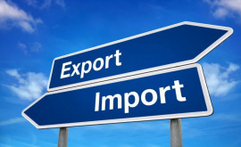 Украина значительно увеличила импорт овощей из Молдовы