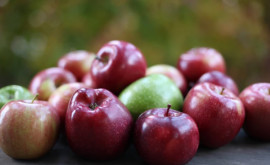 Ce producție de mere este estimată în acest an