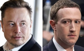 Sa aflat unde va avea loc lupta dintre Elon Musk şi Mark Zuckerberg