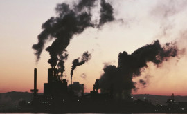 Indonezia se gîndește la aplicarea unei taxe pe poluarea aerului
