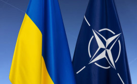 В НАТО допустили отказ Украины от части территорий для членства в альянсе