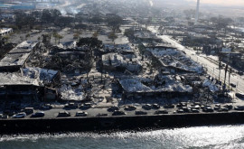Число жертв природных пожаров на Гавайях превысило 100 человек
