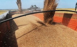 SUA elaborează un plan alternativ pentru exporturile de cereale din Ucraina