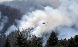 На острове Тенерифе вспыхнул лесной пожар эвакуированы четыре деревни