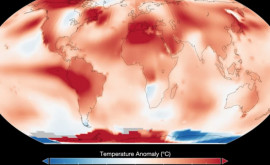 Experții prezic un val de căldură record în 2024
