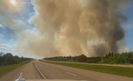 Жителей канадского города Йеллоунайф эвакуируют изза лесных пожаров